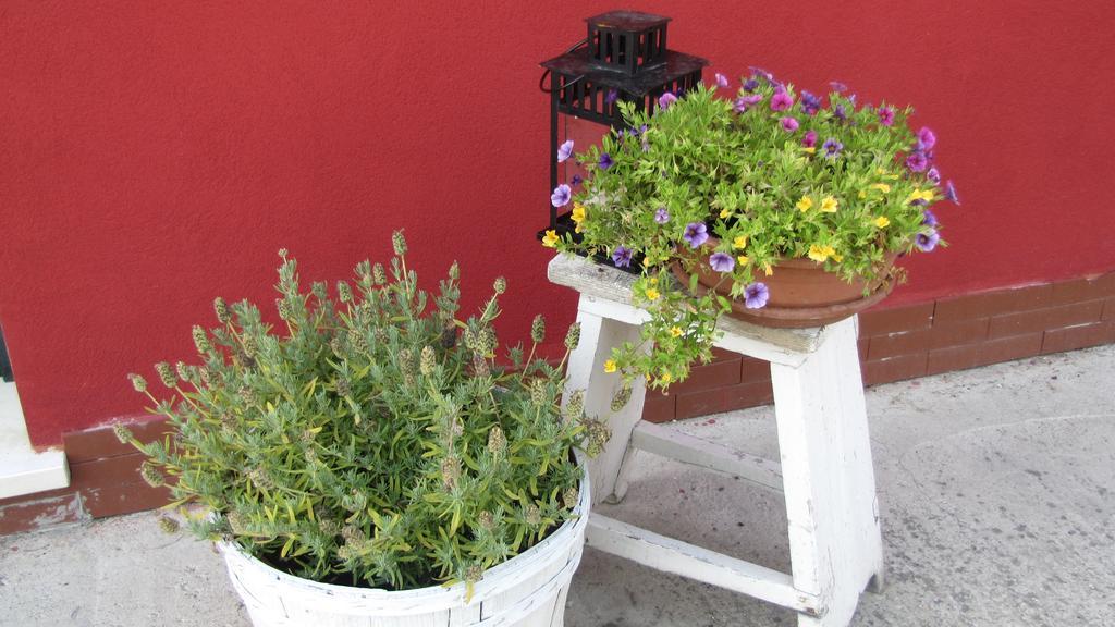 B&B La Zanzara Adria Dış mekan fotoğraf