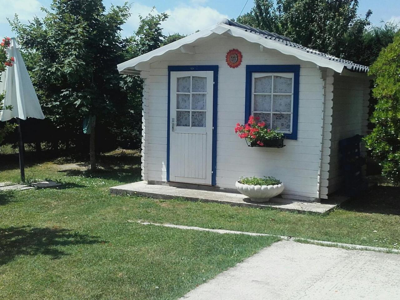 B&B La Zanzara Adria Dış mekan fotoğraf